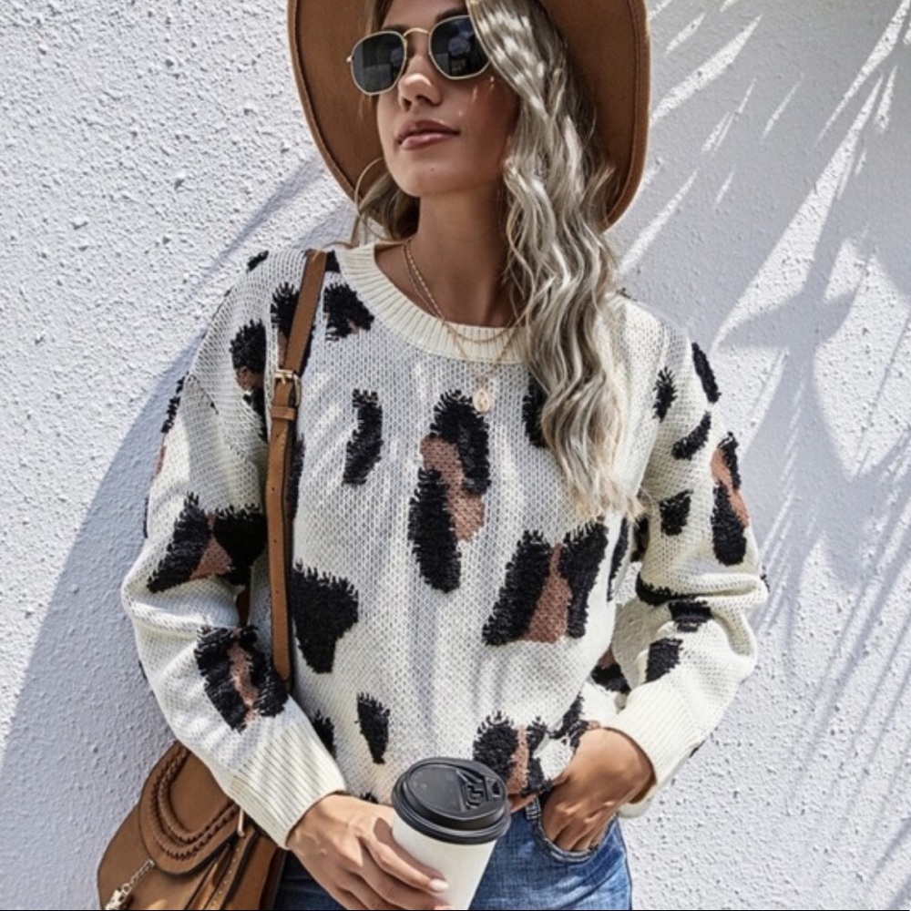 Leopard Print Crew Neck Sweater - Picture 2 of 7